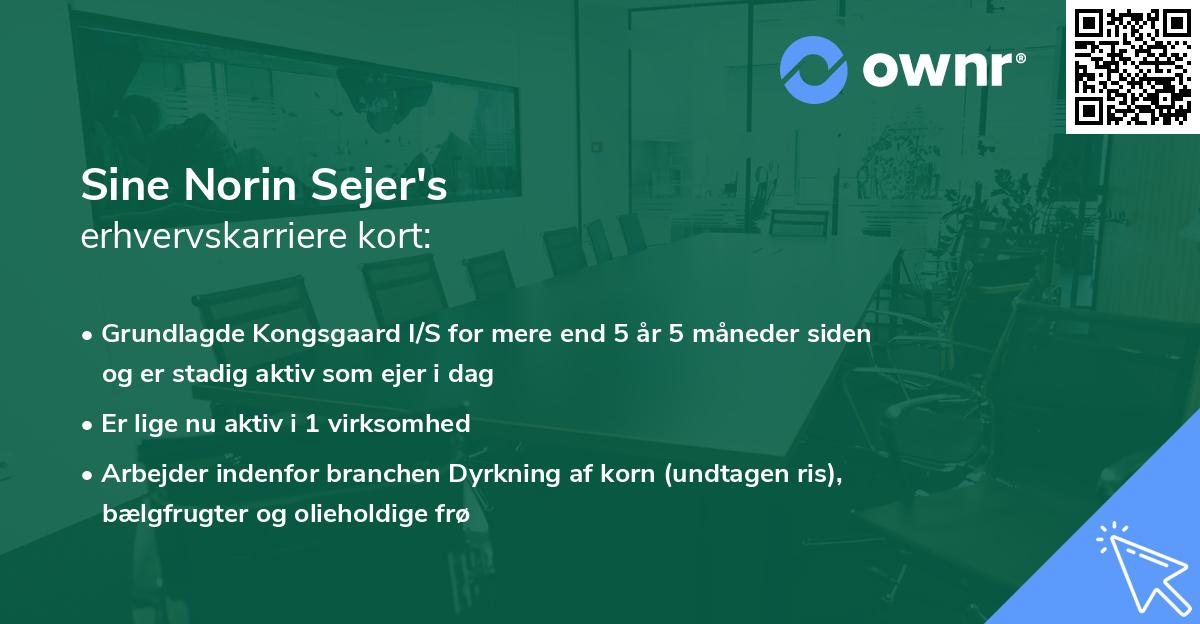 Sine Norin Sejer's erhvervskarriere kort