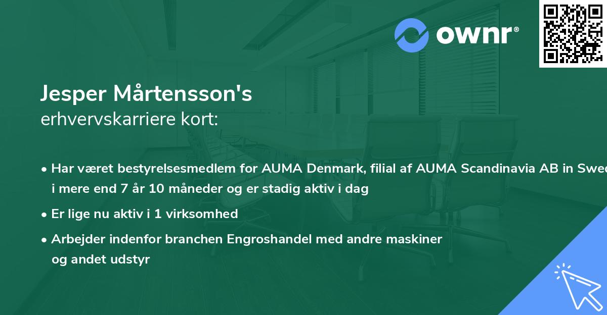 Jesper Mårtensson's erhvervskarriere kort