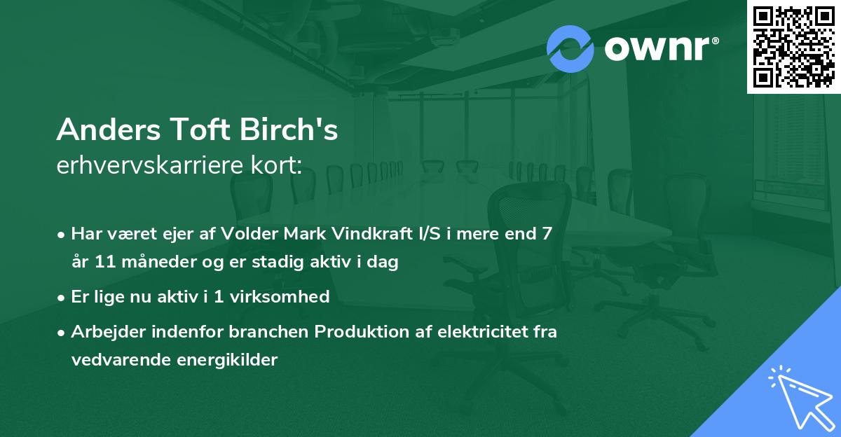 Anders Toft Birch's erhvervskarriere kort