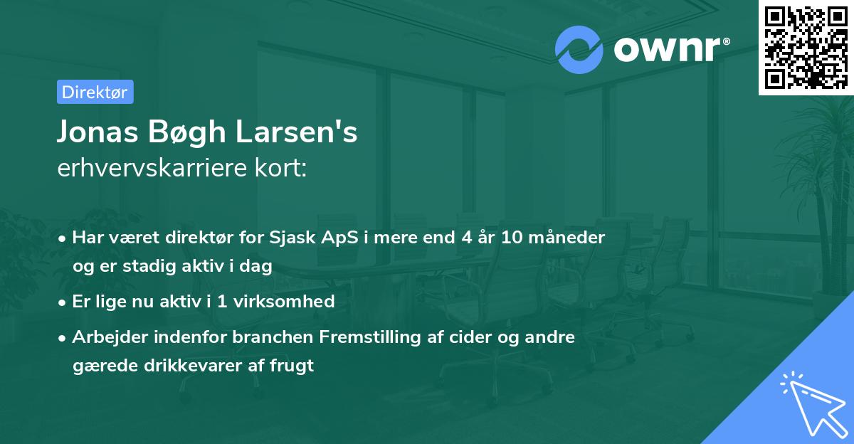 Jonas Bøgh Larsen's erhvervskarriere kort