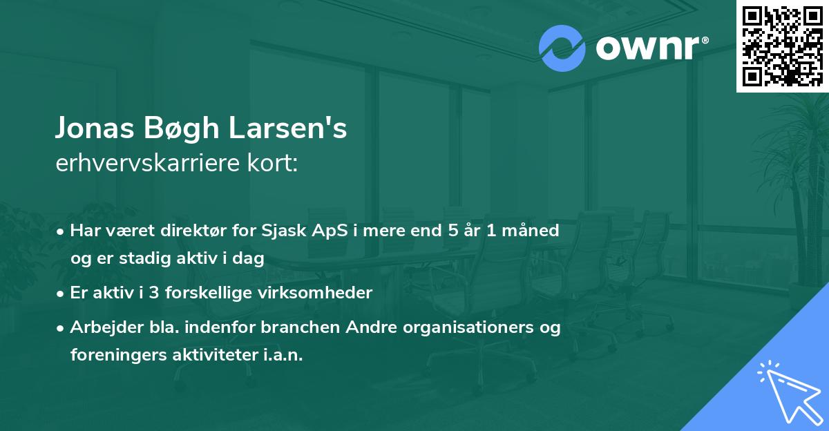 Jonas Bøgh Larsen's erhvervskarriere kort