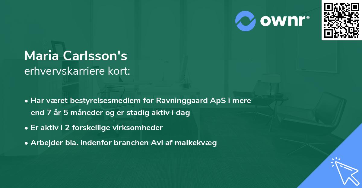 Maria Carlsson's erhvervskarriere kort