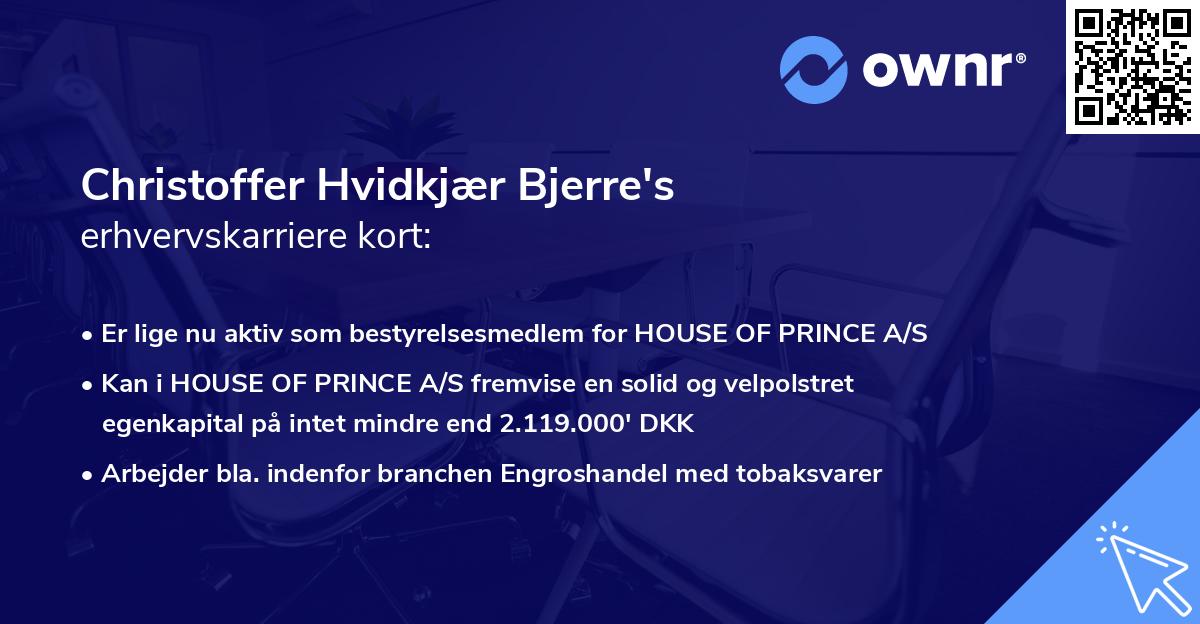 Christoffer Hvidkjær Bjerre's erhvervskarriere kort