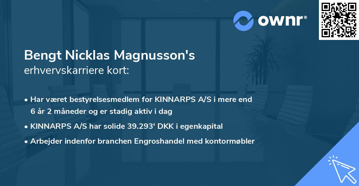 Bengt Nicklas Magnusson's erhvervskarriere kort