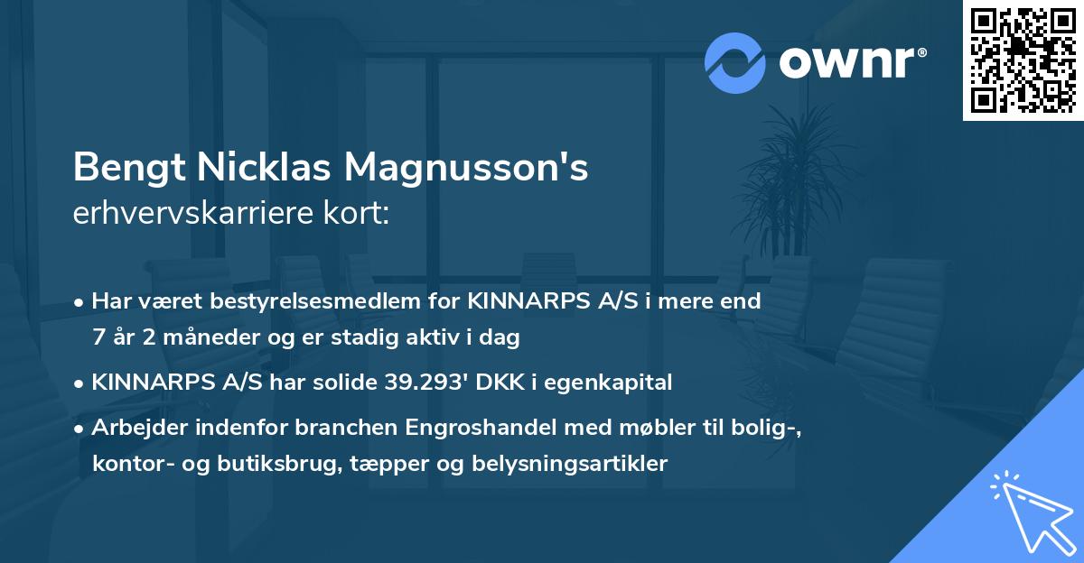 Bengt Nicklas Magnusson's erhvervskarriere kort