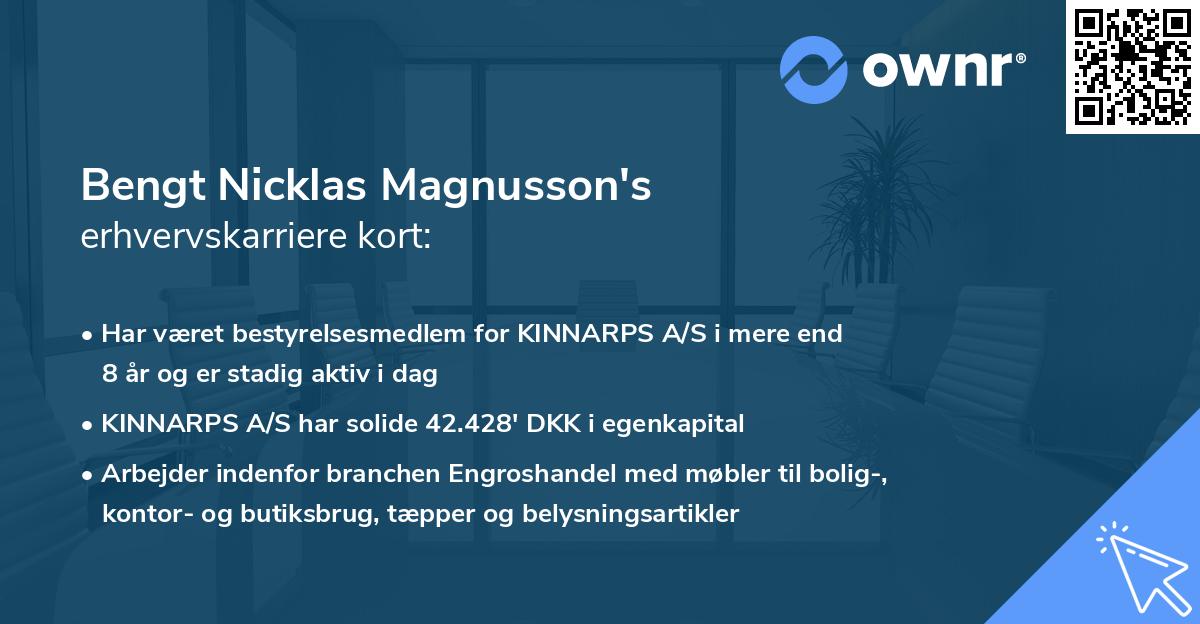 Bengt Nicklas Magnusson's erhvervskarriere kort