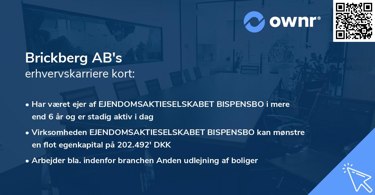 Brickberg AB's erhvervskarriere kort