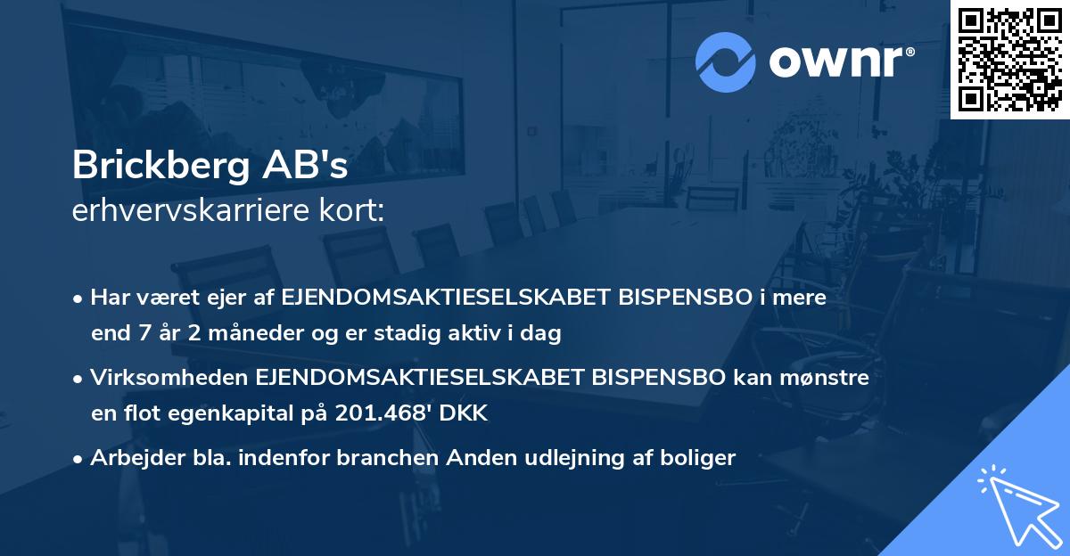 Brickberg AB's erhvervskarriere kort