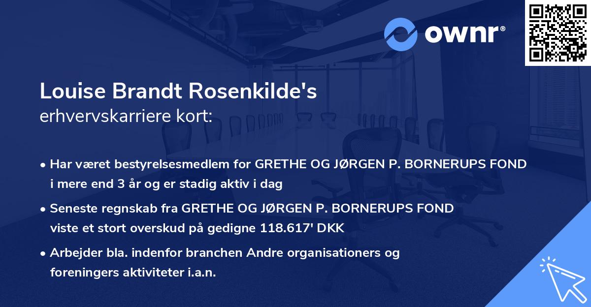 Louise Brandt Rosenkilde's erhvervskarriere kort