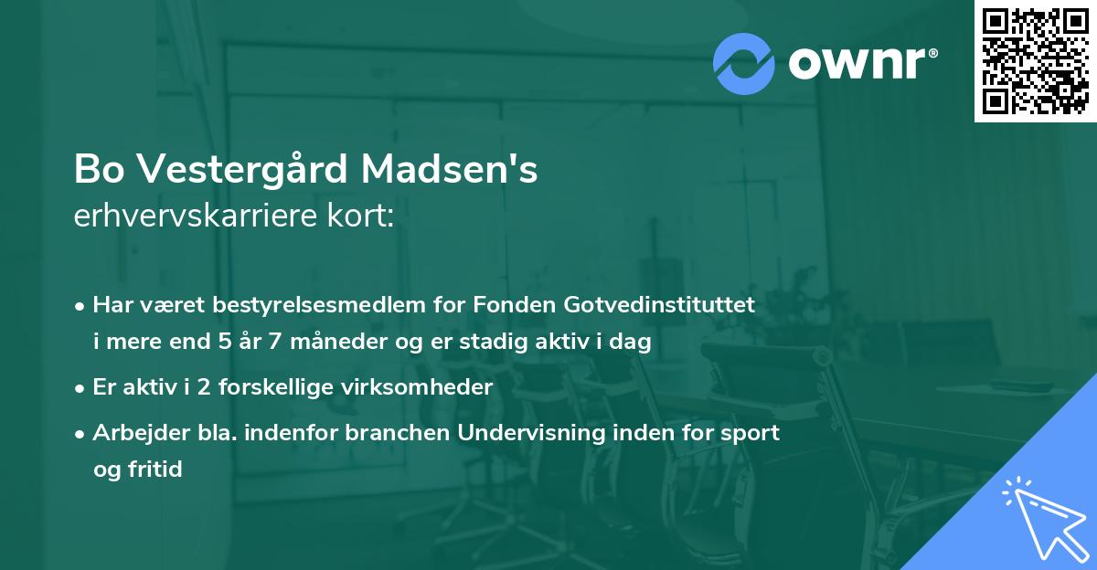 Bo Vestergård Madsen's erhvervskarriere kort