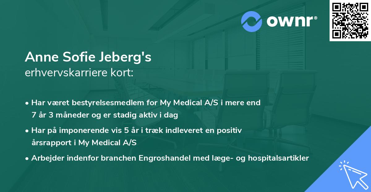 Anne Sofie Jeberg's erhvervskarriere kort