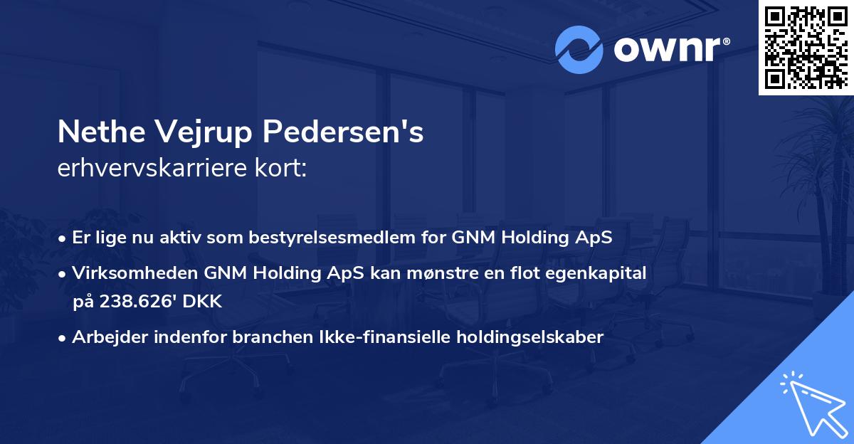 Nethe Vejrup Pedersen's erhvervskarriere kort