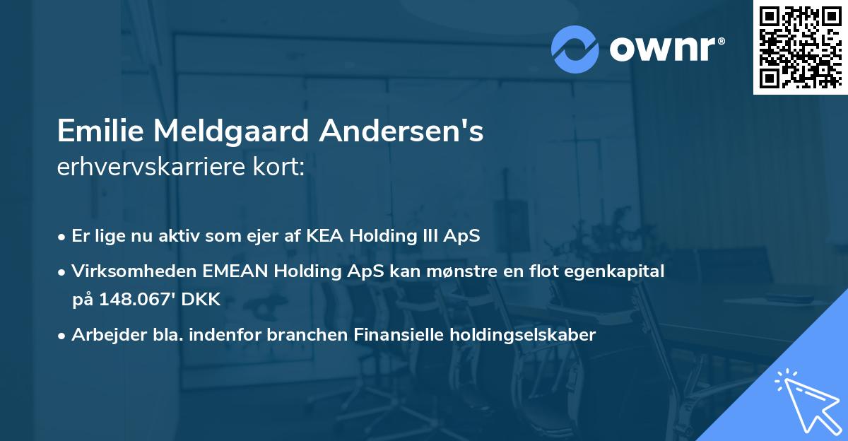 Emilie Meldgaard Andersen's erhvervskarriere kort