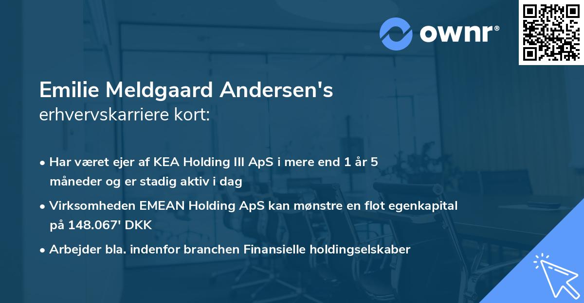 Emilie Meldgaard Andersen's erhvervskarriere kort
