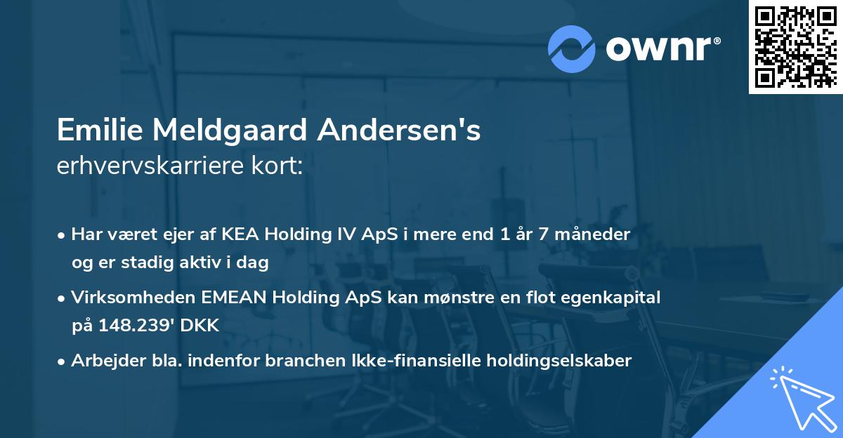 Emilie Meldgaard Andersen's erhvervskarriere kort
