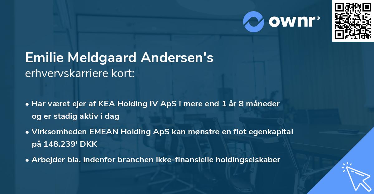 Emilie Meldgaard Andersen's erhvervskarriere kort