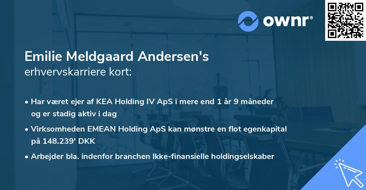 Emilie Meldgaard Andersen's erhvervskarriere kort