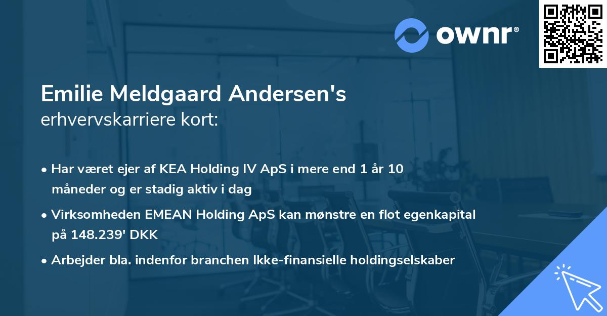 Emilie Meldgaard Andersen's erhvervskarriere kort