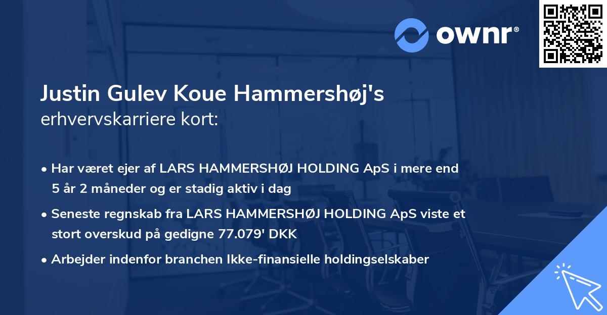 Justin Gulev Koue Hammershøj's erhvervskarriere kort
