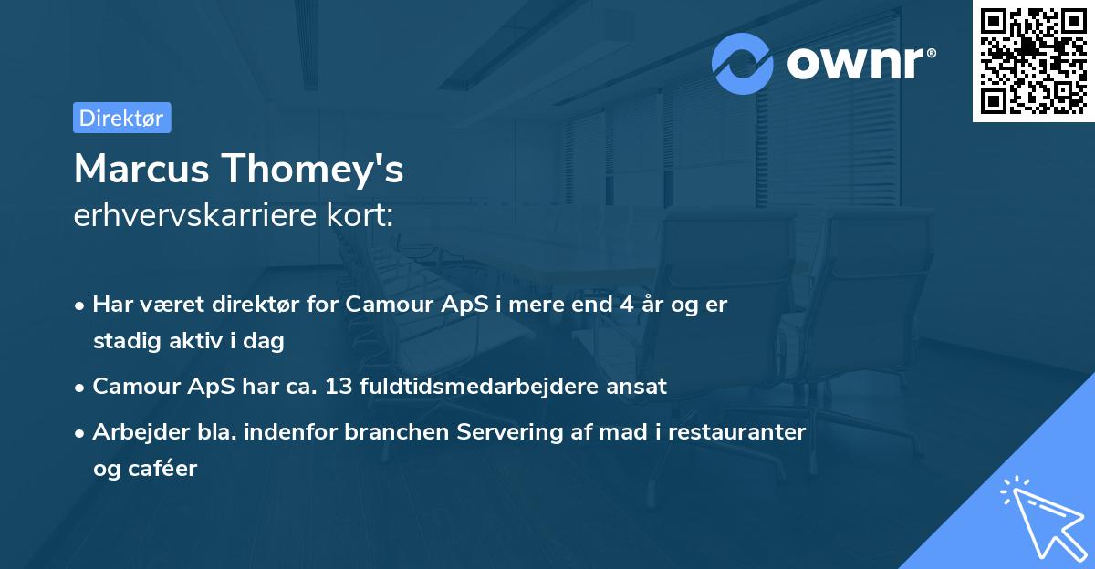 Marcus Thomey's erhvervskarriere kort