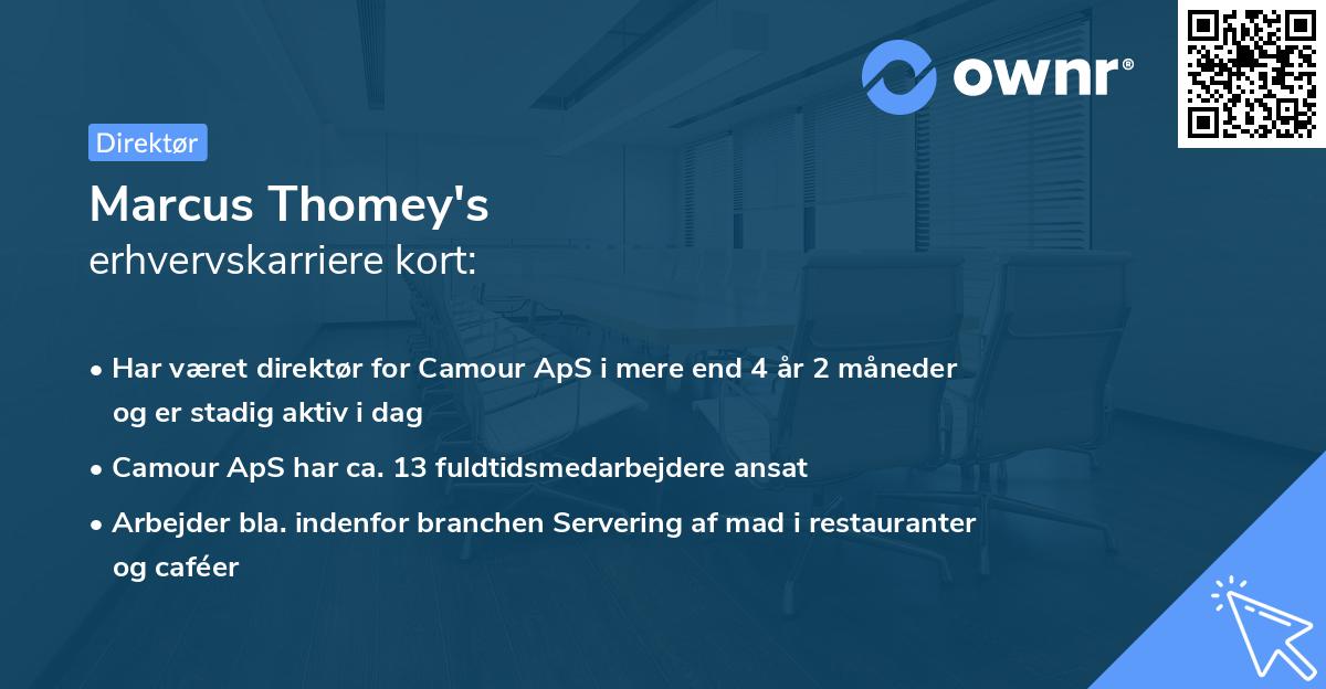 Marcus Thomey's erhvervskarriere kort