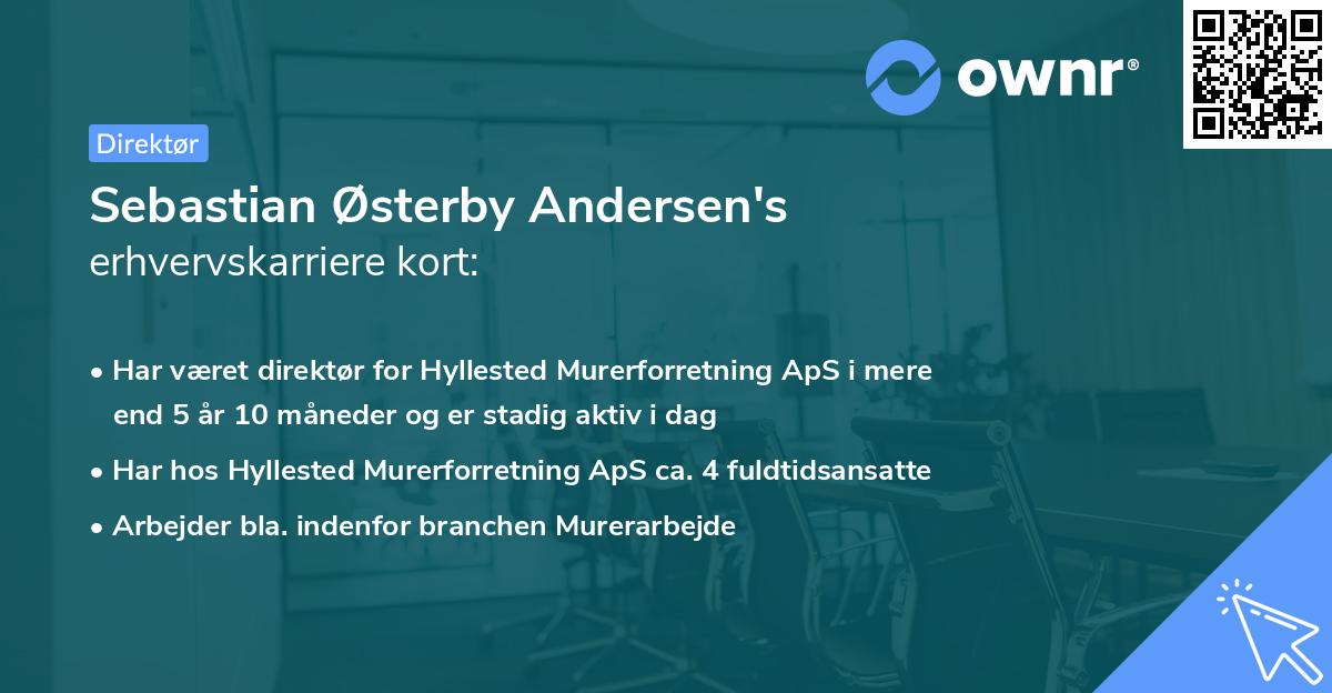 Sebastian Østerby Andersen's erhvervskarriere kort