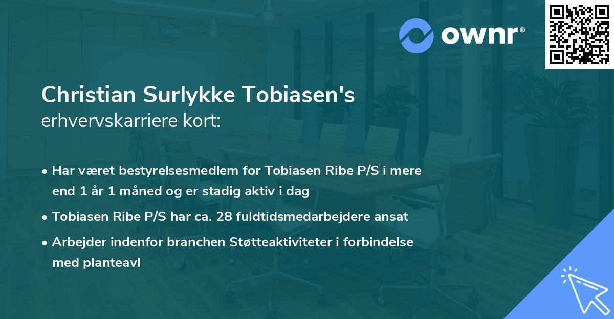 Christian Surlykke Tobiasen's erhvervskarriere kort