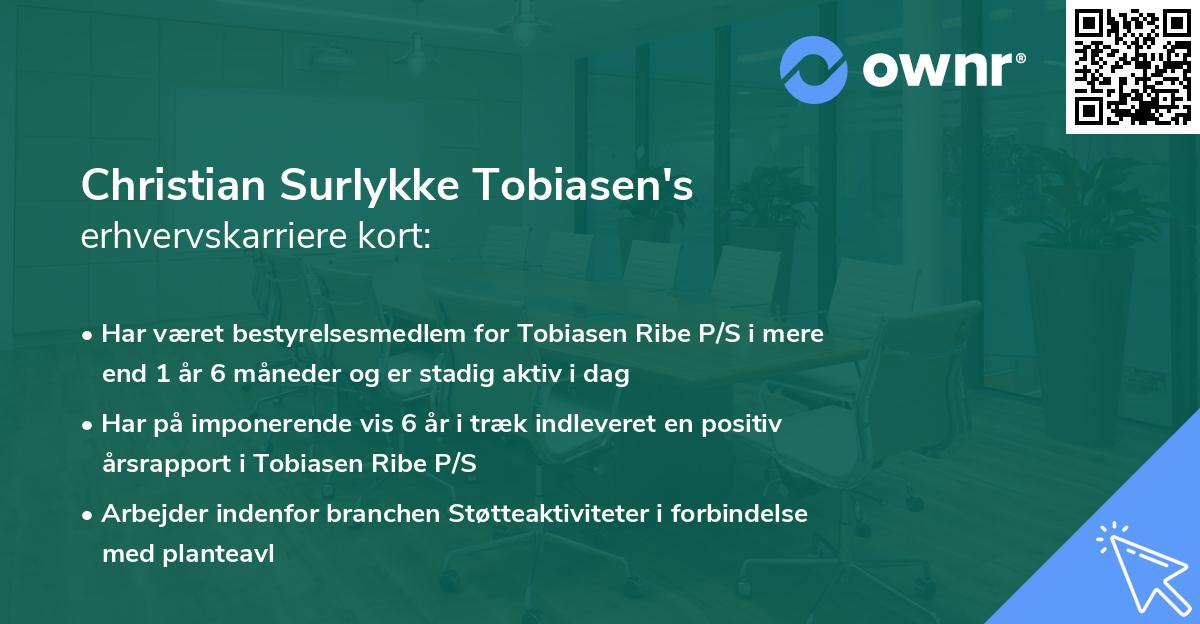 Christian Surlykke Tobiasen's erhvervskarriere kort