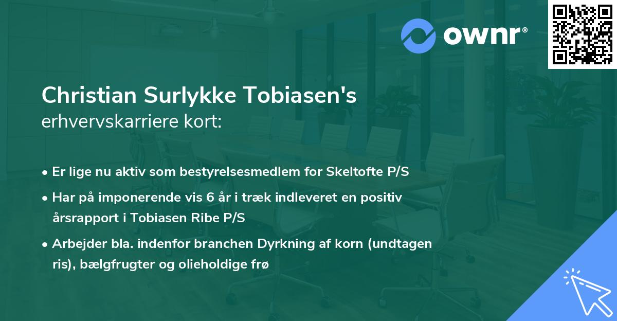 Christian Surlykke Tobiasen's erhvervskarriere kort