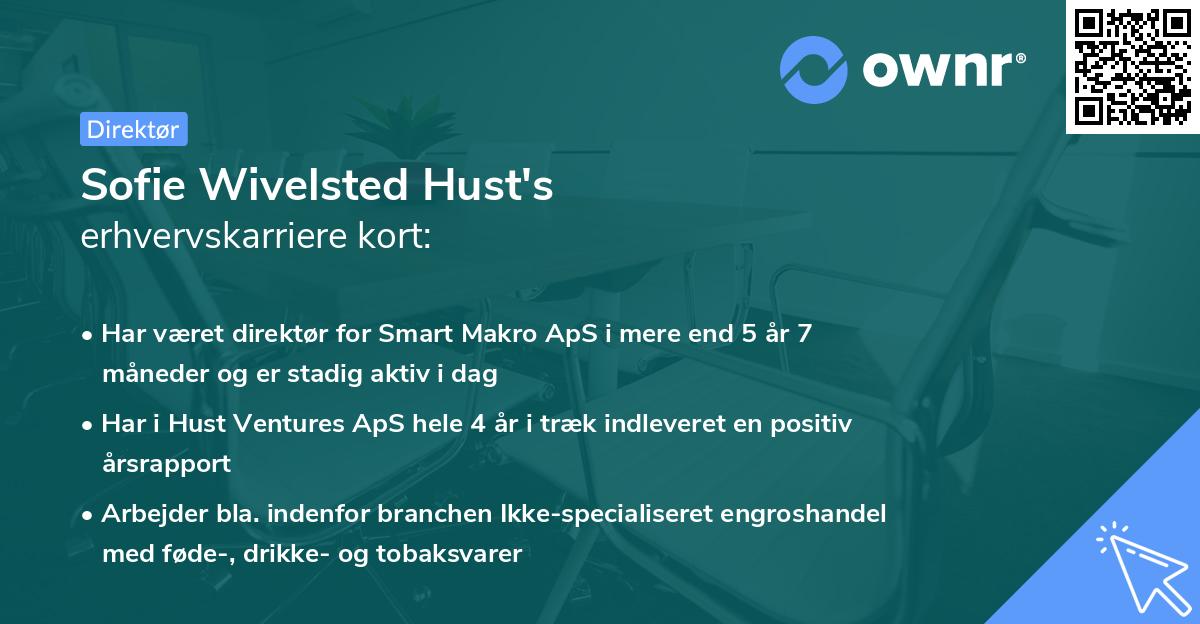 Sofie Wivelsted Hust's erhvervskarriere kort