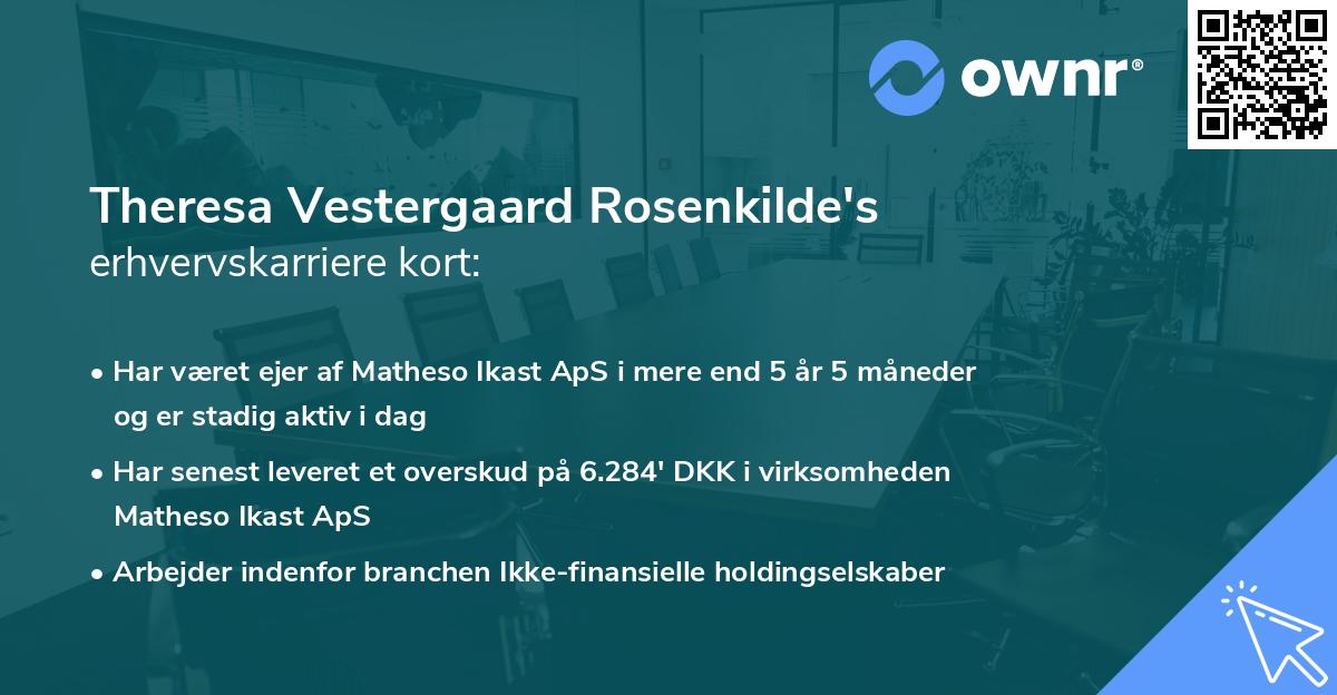 Theresa Vestergaard Rosenkilde's erhvervskarriere kort