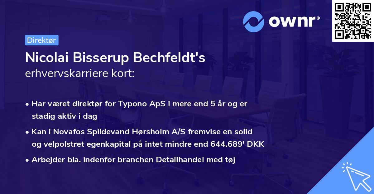 Nicolai Bisserup Bechfeldt's erhvervskarriere kort