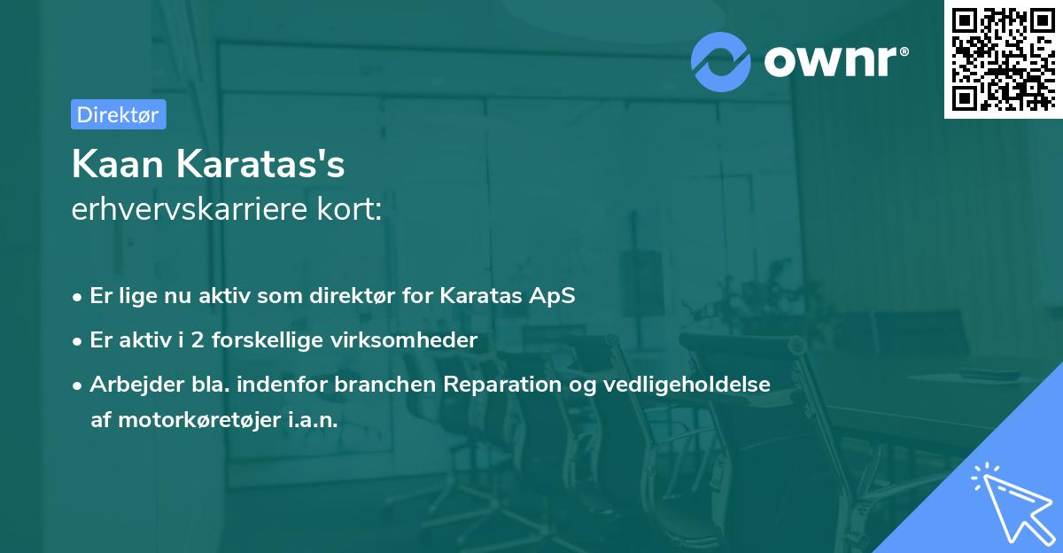 Kaan Karatas's erhvervskarriere kort