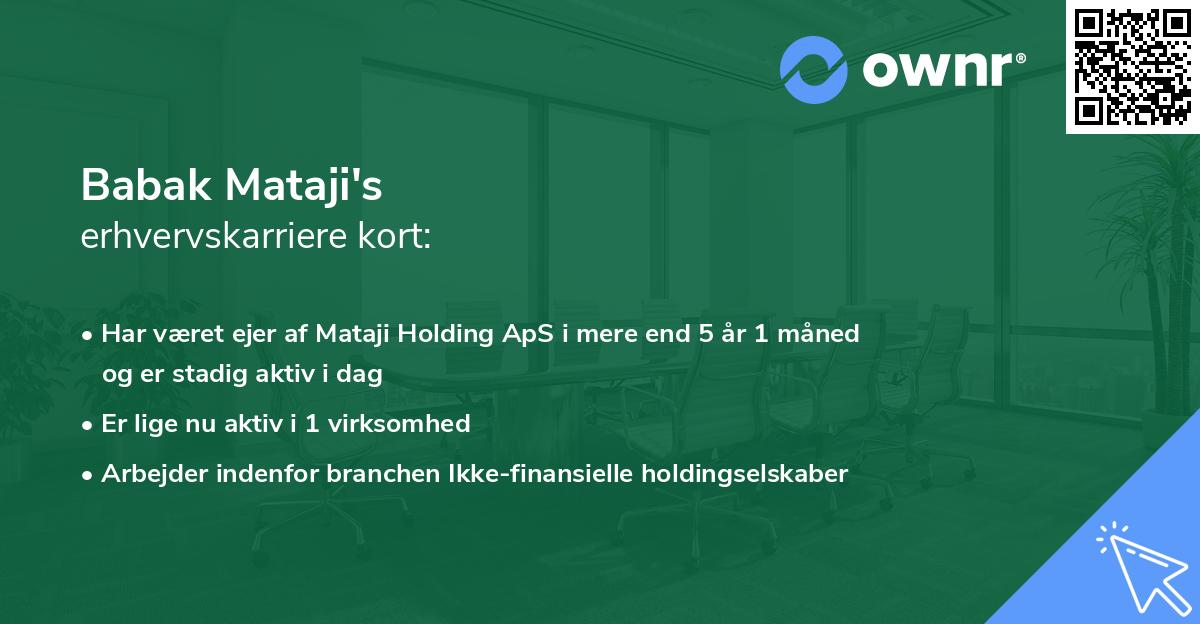 Babak Mataji's erhvervskarriere kort