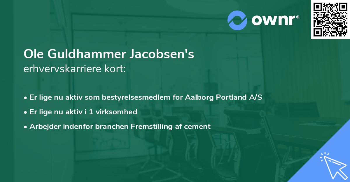 Ole Guldhammer Jacobsen's erhvervskarriere kort