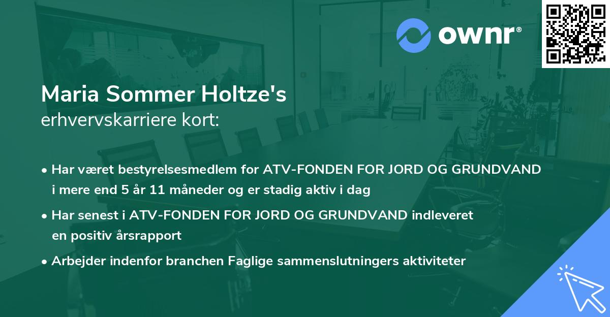 Maria Sommer Holtze's erhvervskarriere kort