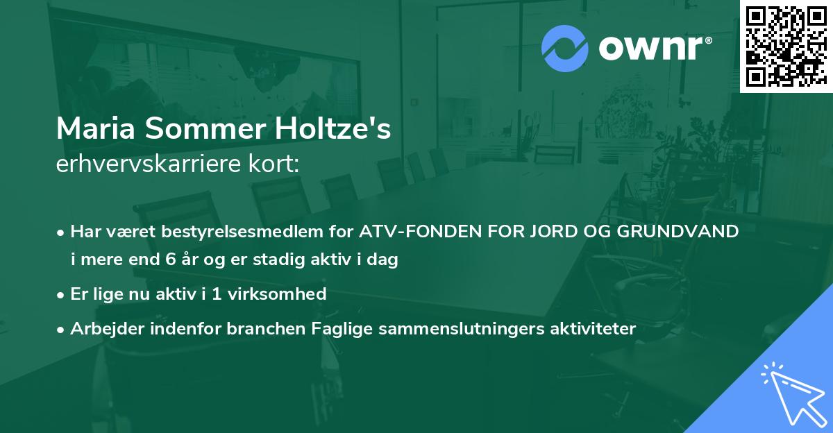 Maria Sommer Holtze's erhvervskarriere kort