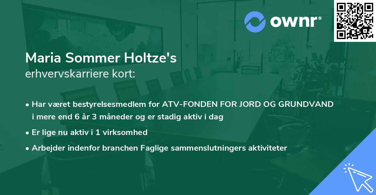 Maria Sommer Holtze's erhvervskarriere kort