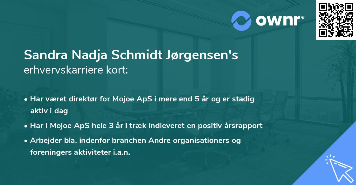 Sandra Nadja Schmidt Jørgensen's erhvervskarriere kort
