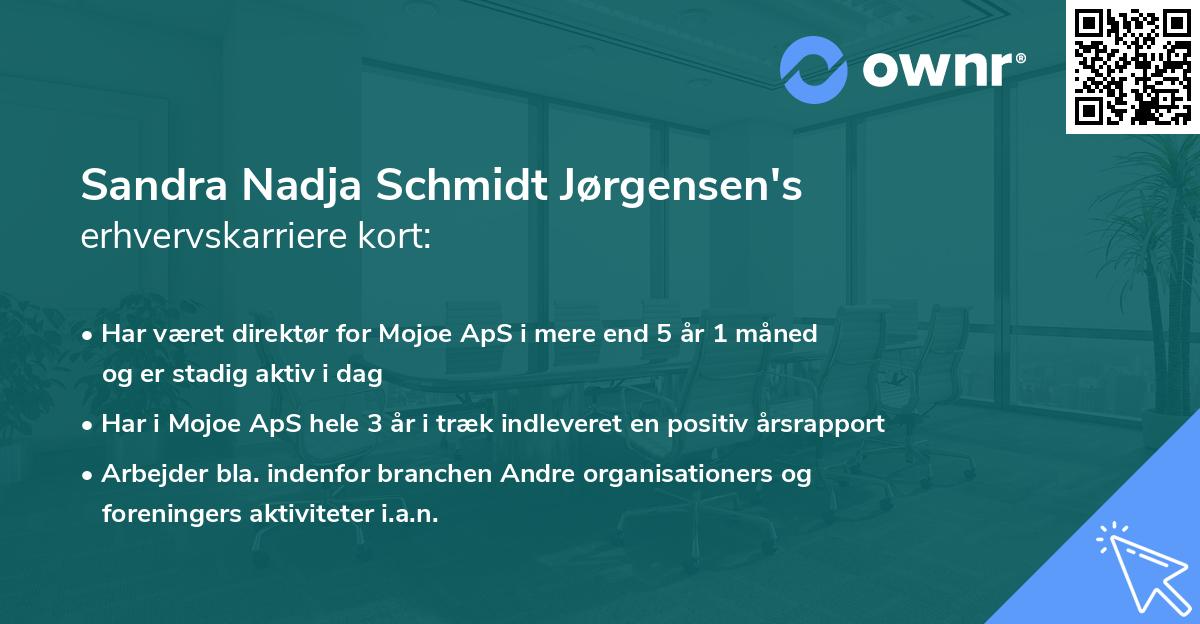 Sandra Nadja Schmidt Jørgensen's erhvervskarriere kort