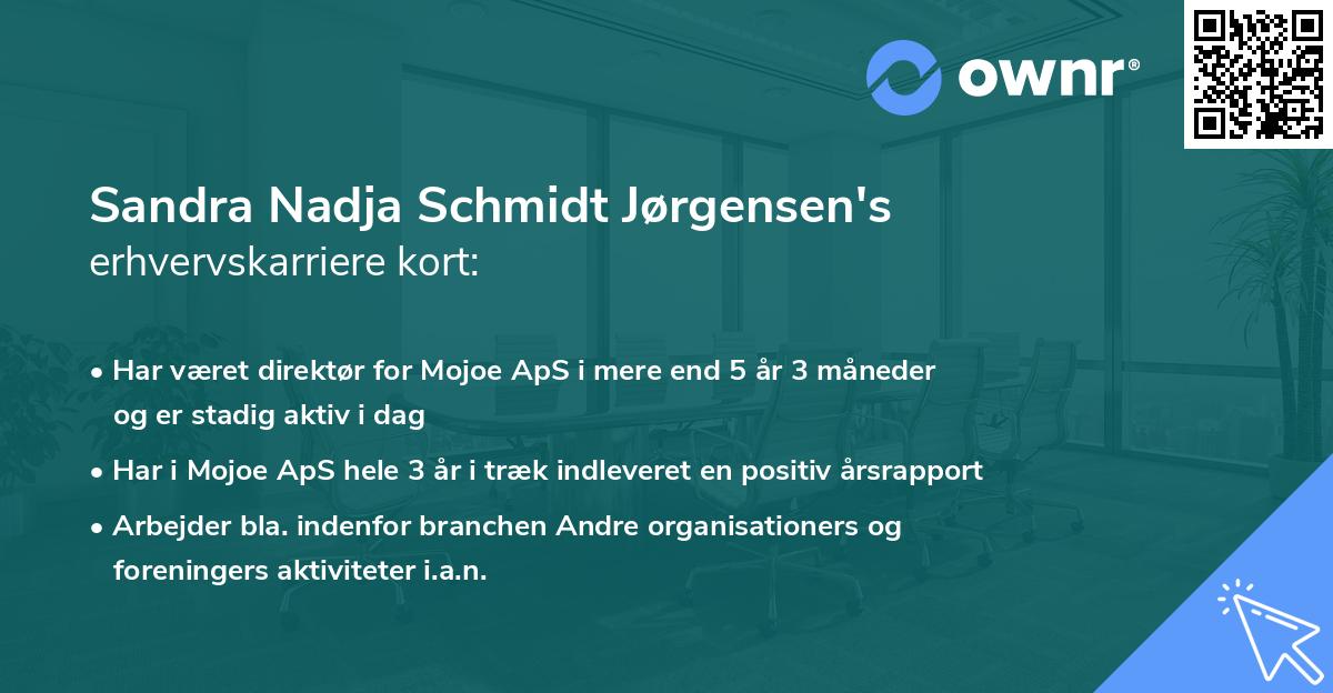 Sandra Nadja Schmidt Jørgensen's erhvervskarriere kort