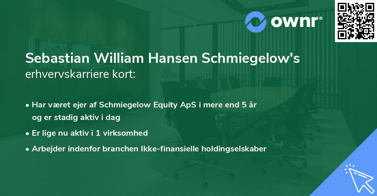 Sebastian William Hansen Schmiegelow's erhvervskarriere kort