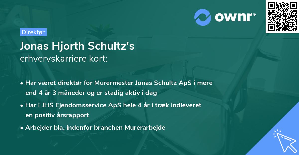 Jonas Hjorth Schultz's erhvervskarriere kort
