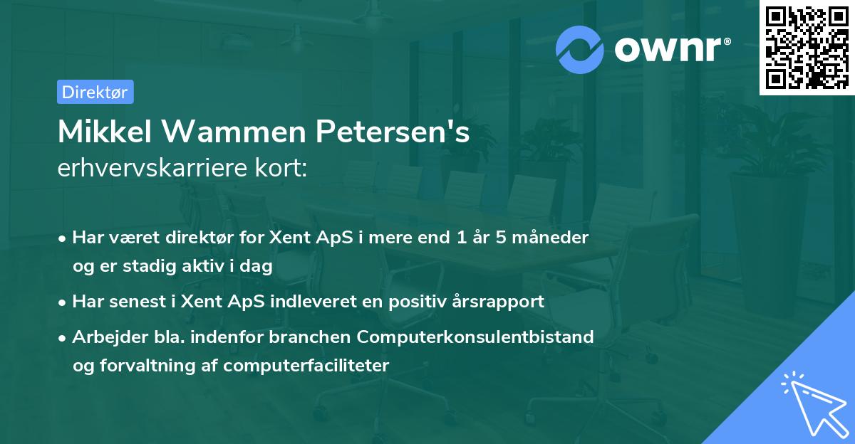Mikkel Wammen Petersen's erhvervskarriere kort
