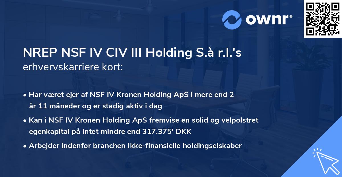 NREP NSF IV CIV III Holding S.à r.l.'s erhvervskarriere kort