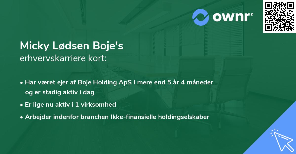 Micky Lødsen Boje's erhvervskarriere kort