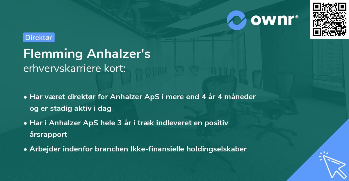 Flemming Anhalzer's erhvervskarriere kort