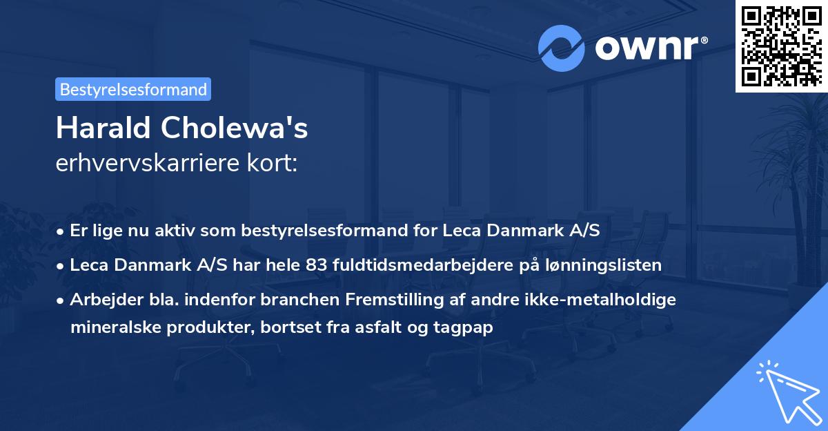 Harald Cholewa's erhvervskarriere kort