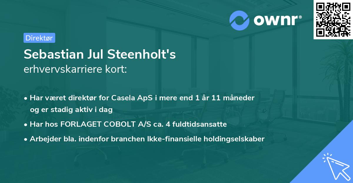Sebastian Jul Steenholt's erhvervskarriere kort