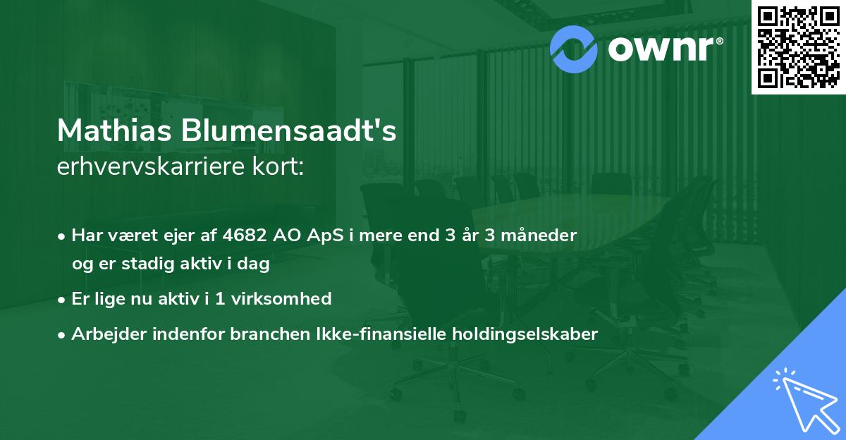 Mathias Blumensaadt's erhvervskarriere kort